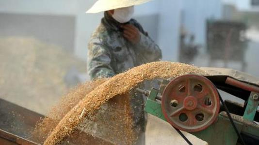 我國糧食產后損失嚴重，節糧護理空間巨大